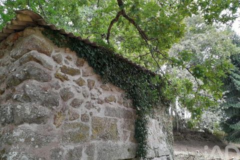 Terra a Baiao, Porto, Baiao - € 69.500 | Ref: 115865 - foto 16