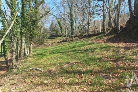 Terra a Baiao, Porto, Baiao - € 69.500 | Ref: 115865 - foto 17