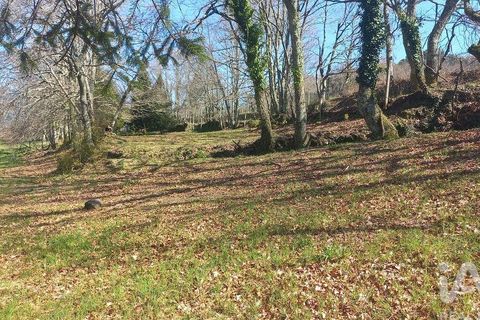 Terra a Baiao, Porto, Baiao - € 69.500 | Ref: 115865 - foto 19