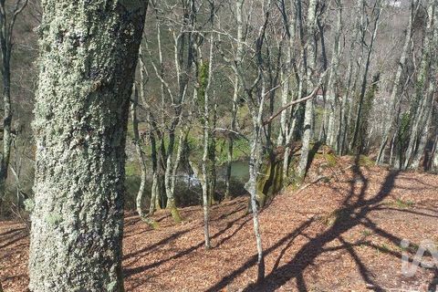 Terra a Baiao, Porto, Baiao - € 69.500 | Ref: 115865 - foto 20