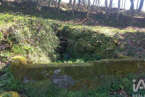 Terra a Baiao, Porto, Baiao - € 69.500 | Ref: 115865 - foto 23