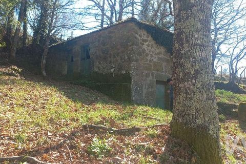 Terra a Baiao, Porto, Baiao - € 69.500 | Ref: 115865 - foto 24