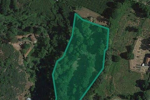 Terra a Baiao, Porto, Baiao - € 69.500 | Ref: 115865 - foto 25