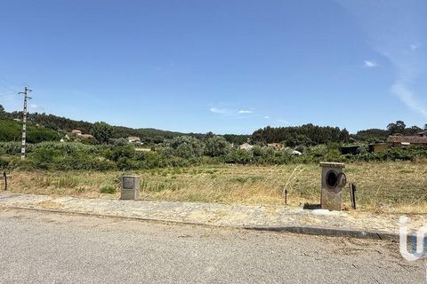 Terra a Santarem, Santarem, Santarem - € 23.100 | Ref: 668662 - foto 5