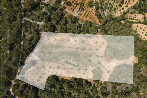 Helårsgrund i Son Macia, Mallorca, Son Macia - € 1.075.000 | Ref: KPPC719 - foto 13