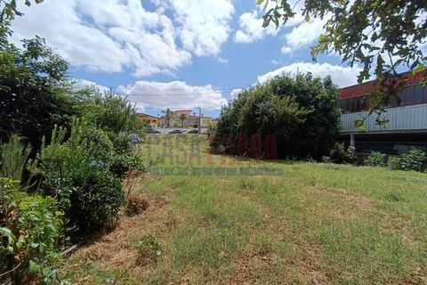 Helårsgrund i Serzedelo, Braga, Serzedelo - € 120.000 | Ref: CFB-120-35 - foto 1