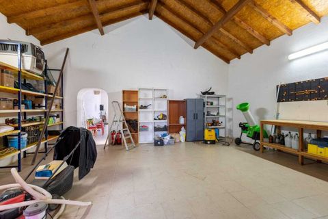 Farm i Abrantes, Santarem, Abrantes - € 498.000 | Ref: SF-SAFTI:007018 - foto 16