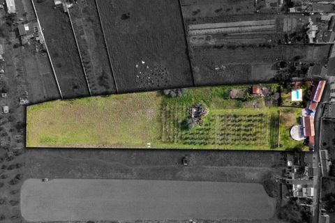 Farm i Abrantes, Santarem, Abrantes - € 498.000 | Ref: SF-SAFTI:007018 - foto 19