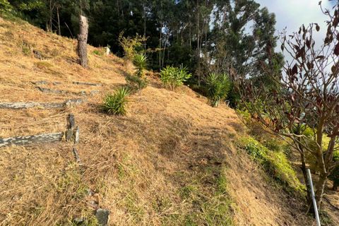 Villa i Caminha, Viana do Castelo, Caminha - € 359.000 | Ref: SF-SAFTI:007016 - foto 19