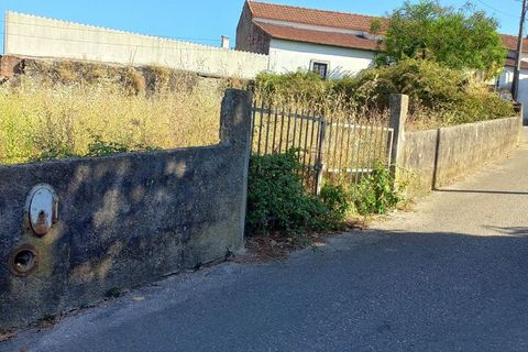 Helårsgrund i Olaia e Paco, Santarem, Olaia e Paco - € 28.000 | Ref: SF-SAFTI:007013 - foto 3