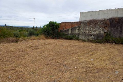 Helårsgrund i Olaia e Paco, Santarem, Olaia e Paco - € 28.000 | Ref: SF-SAFTI:007013 - foto 4