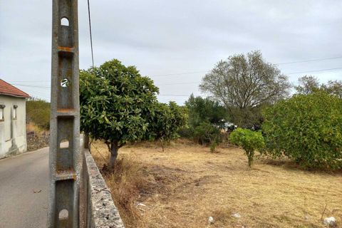 Helårsgrund i Olaia e Paco, Santarem, Olaia e Paco - € 28.000 | Ref: SF-SAFTI:007013 - foto 2