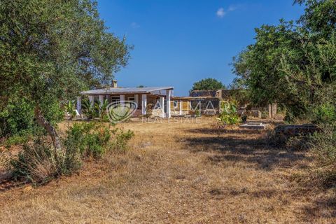 Villa i Tavira, Faro, Tavira - € 535.000 | Ref: LMR-0044 - foto 6