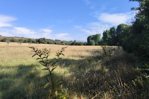 Helårsgrund i Castelo Branco, Castelo Branco, Castelo Branco - € 105.000 | Ref: SÒL_441 - foto 3