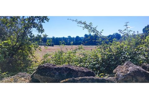 Helårsgrund i Castelo Branco, Castelo Branco, Castelo Branco - € 105.000 | Ref: SÒL_441 - foto 2