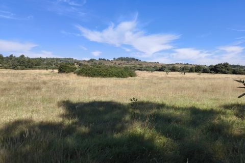 Helårsgrund i Castelo Branco, Castelo Branco, Castelo Branco - € 105.000 | Ref: SÒL_441 - foto 9