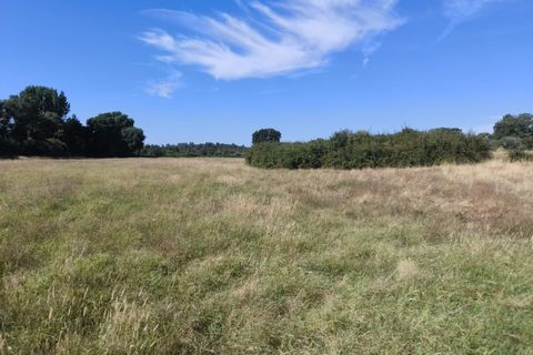 Helårsgrund i Castelo Branco, Castelo Branco, Castelo Branco - € 105.000 | Ref: SÒL_441 - foto 5
