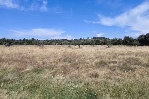 Helårsgrund i Castelo Branco, Castelo Branco, Castelo Branco - € 105.000 | Ref: SÒL_441 - foto 10