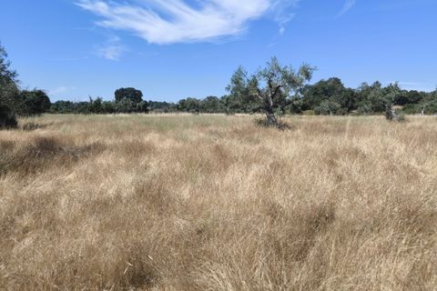 Helårsgrund i Castelo Branco, Castelo Branco, Castelo Branco - € 105.000 | Ref: SÒL_441 - foto 11