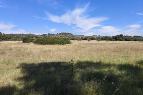 Helårsgrund i Castelo Branco, Castelo Branco, Castelo Branco - € 105.000 | Ref: SÒL_441 - foto 12