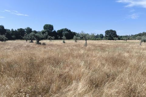 Helårsgrund i Castelo Branco, Castelo Branco, Castelo Branco - € 105.000 | Ref: SÒL_441 - foto 18