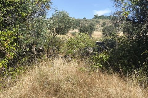 Helårsgrund i Castelo Branco, Castelo Branco, Castelo Branco - € 105.000 | Ref: SÒL_441 - foto 21