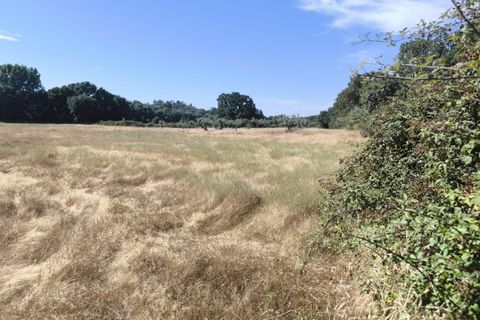Helårsgrund i Castelo Branco, Castelo Branco, Castelo Branco - € 105.000 | Ref: SÒL_441 - foto 28