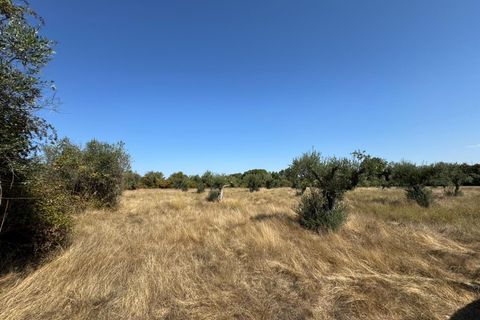 Helårsgrund i Castelo Branco, Castelo Branco, Castelo Branco - € 105.000 | Ref: SÒL_441 - foto 31