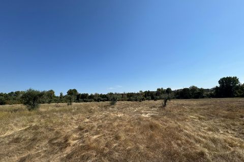Helårsgrund i Castelo Branco, Castelo Branco, Castelo Branco - € 105.000 | Ref: SÒL_441 - foto 33