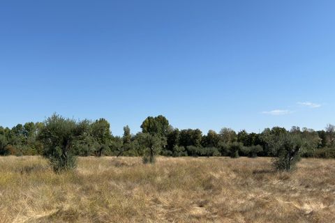 Helårsgrund i Castelo Branco, Castelo Branco, Castelo Branco - € 105.000 | Ref: SÒL_441 - foto 34