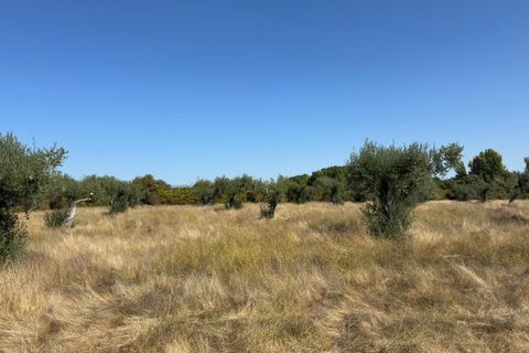 Helårsgrund i Castelo Branco, Castelo Branco, Castelo Branco - € 105.000 | Ref: SÒL_441 - foto 35