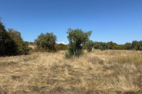 Helårsgrund i Castelo Branco, Castelo Branco, Castelo Branco - € 105.000 | Ref: SÒL_441 - foto 37