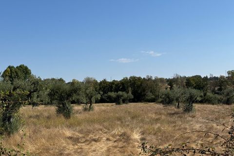 Helårsgrund i Castelo Branco, Castelo Branco, Castelo Branco - € 105.000 | Ref: SÒL_441 - foto 38