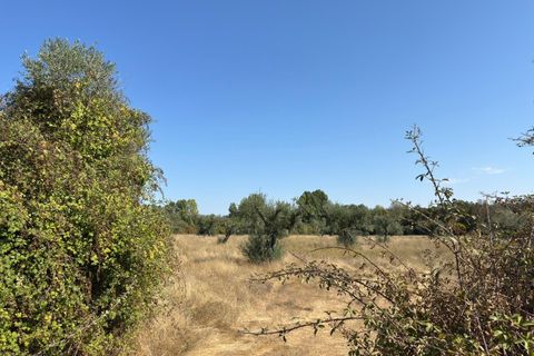 Helårsgrund i Castelo Branco, Castelo Branco, Castelo Branco - € 105.000 | Ref: SÒL_441 - foto 40