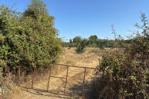 Helårsgrund i Castelo Branco, Castelo Branco, Castelo Branco - € 105.000 | Ref: SÒL_441 - foto 41