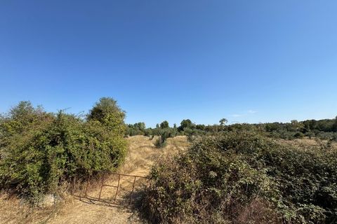 Helårsgrund i Castelo Branco, Castelo Branco, Castelo Branco - € 105.000 | Ref: SÒL_441 - foto 42