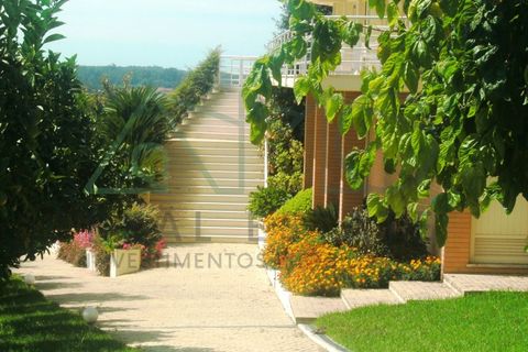 Villa i Alquerubim, Aveiro, Alquerubim - € 1.100.000 | Ref: AMO-00008/26 - foto 17