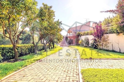 Villa i Alquerubim, Aveiro, Alquerubim - € 1.100.000 | Ref: AMO-00008/26 - foto 22