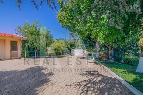 Villa i Alquerubim, Aveiro, Alquerubim - € 1.100.000 | Ref: AMO-00008/26 - foto 24