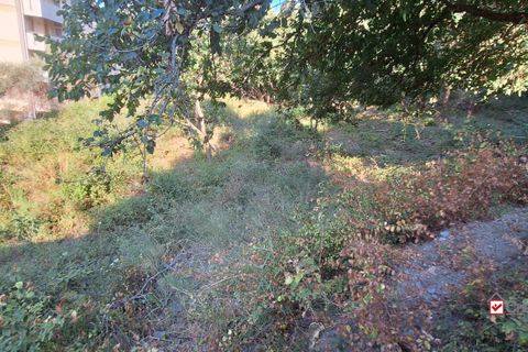 Helårsgrund i Messina, Messina, Messina - € 33.000 | Ref: VS895 - foto 4