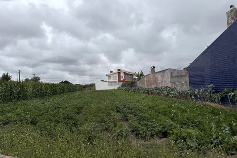 Helårsgrund i Aveiro, Aveiro, Aveiro - € 115.000 | Ref: AV25/126 - foto 7