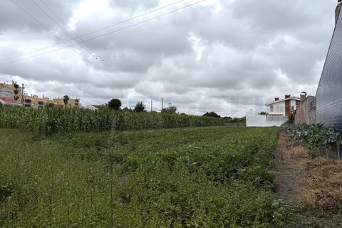 Helårsgrund i Aveiro, Aveiro, Aveiro - € 115.000 | Ref: AV25/126 - foto 21