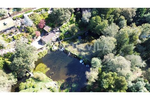 Villa a Viana do Castelo, Viana do Castelo, Viana do Castelo - € 650.000 | Ref: 2664 - foto 40