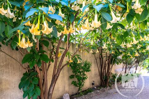 Lejlighed i Nice, Alpes-Maritimes, Nice - € 420.000 | Ref: FACAFFARELLI - foto 41