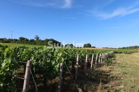 Terra a Mellecey, Saone-et-Loire, Mellecey - € 110.000 | Ref: 69950AH - foto 3