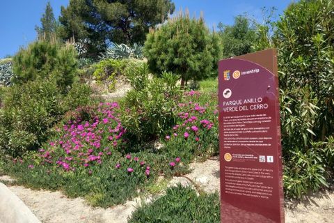 Tomt i Martos, Jaen, Martos - € 12 000 | Ref: Urban Plot - foto 7