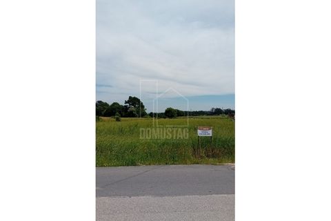 Helårsgrund i Eixo e Eirol, Aveiro, Eixo e Eirol - € 95.000 | Ref: 2079 - foto 4