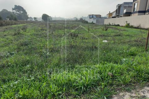 Helårsgrund i Eixo e Eirol, Aveiro, Eixo e Eirol - € 95.000 | Ref: 2079 - foto 6