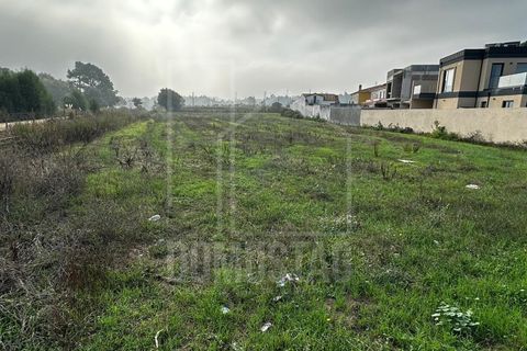 Helårsgrund i Eixo e Eirol, Aveiro, Eixo e Eirol - € 95.000 | Ref: 2079 - foto 7