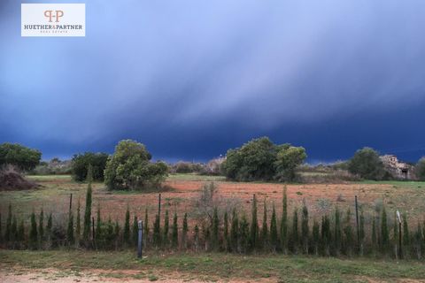 Landejendom i Llucmajor, Mallorca, Llucmajor - € 2.200.000 | Ref: 25-146 - foto 17